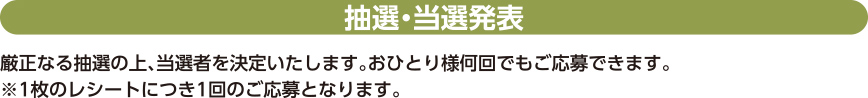 抽選・当選発表