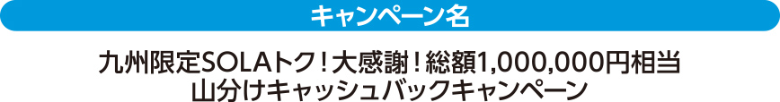 キャンペーン名